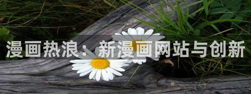 歪歪漫画韩漫app：漫画热浪：新漫画网站与创新