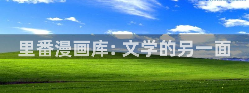 歪歪漫画韩漫网页：里番漫画库: 文学的另一面