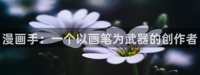 韩漫魔咒免费观看：漫画手：一个以画笔为武器的创作者