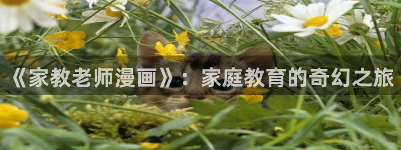 哈哈漫画韩漫大全免费观看：《家教老师漫画》：家庭教育的奇幻之旅