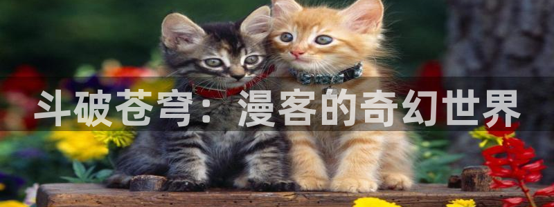 韩漫网页版入口：斗破苍穹：漫客的奇幻世界