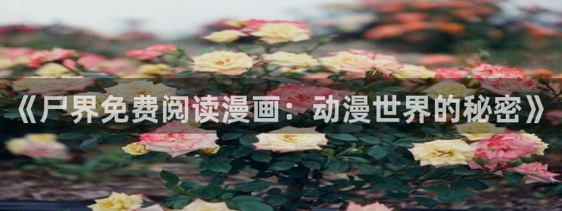 韩漫漫画在线观看页面免费漫画入口：《尸界免费阅读漫画：动漫世界的秘密》